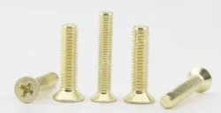 Golden Flat Head Screws M3*95